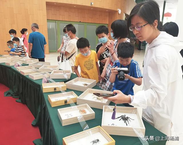 昆虫的秘密有哪些,了解昆虫世界的秘密 昆虫的秘密有哪些,了解昆虫世界的秘密