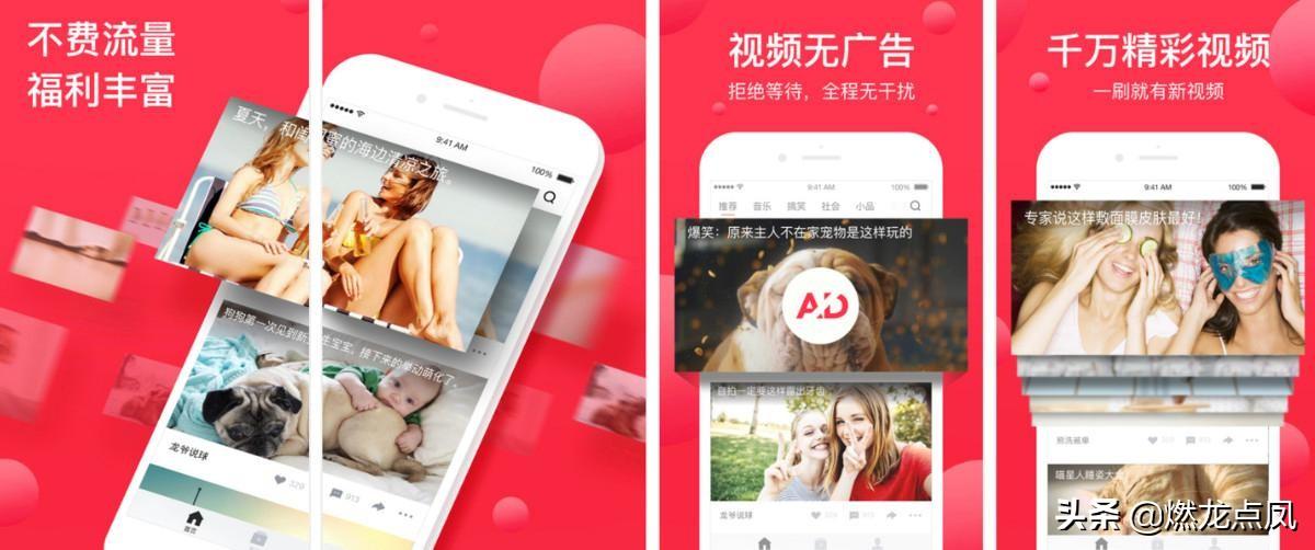 西瓜视频创始人是谁(西瓜视频前十名作者)
