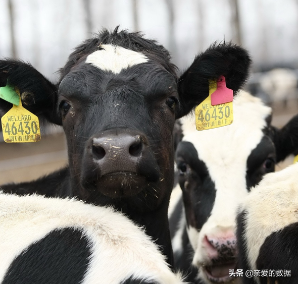 银鹭花生牛奶保质期多久，银鹭花生牛奶的保质期是多长时间（传感器、可穿戴设备、业务中台、智能供应链）