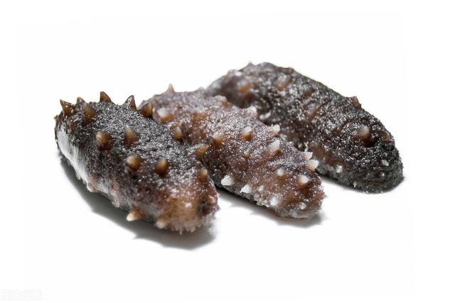 人造海参如何鉴别，人工合成海参的识别（海参也有真假？你能分得清吗）