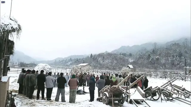 文章和驴的电影，走着瞧电影（文章与两头驴斗智斗勇被驴泼粪）