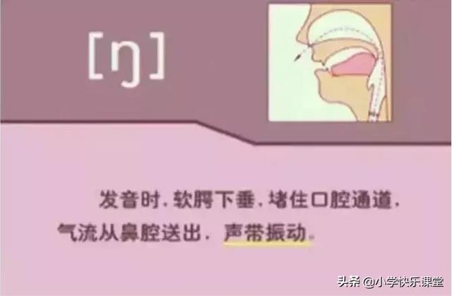 音标读音表发音教学，音素表怎么写（48个国际英语音标发音表及口型）