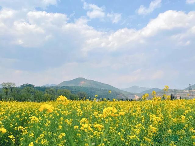 昆明好玩的地方，昆明好玩的地方排行榜（12个昆明近郊亲子自驾游好去处）