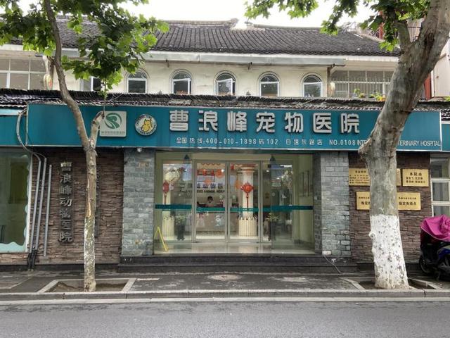 哈尔滨宠物医院，十大哈尔滨宠物医院排名（瑞派宠物医院告诉你最牛医院的正确打开方式）