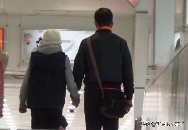 女人梦见飞蛾什么预兆，梦见飞蛾是什么寓意（黄日华太太出殡日期确定）