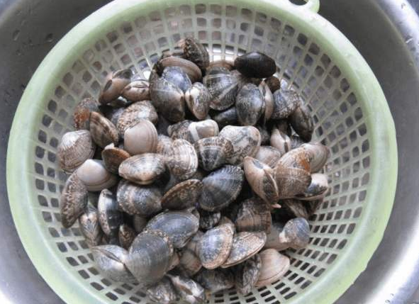 花甲要怎么清洗才会干净，花甲怎么清洗才能干净（只会放盐就错了）