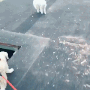 个人生活方面自我总结，个人自我总结（终于明白为啥很多人那么喜欢后驱车了。）