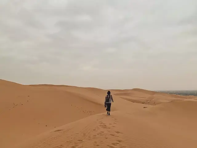 彩虹岛攻略，类似彩虹岛的手游（新婚度蜜月首选圣地）