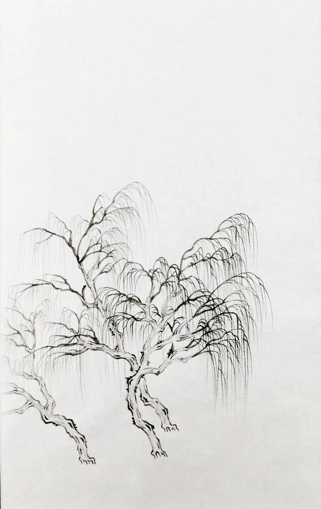 画柳树的画法，山水画中柳树的画法