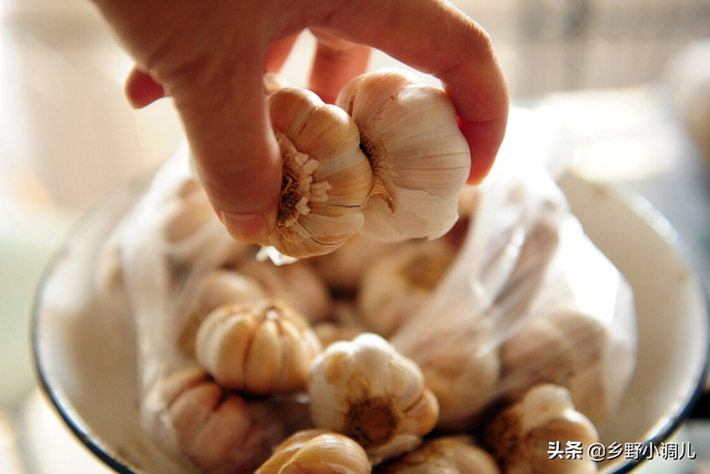 水培大蒜的方法，大蒜的水培方法介绍（大蒜水培种植方法）