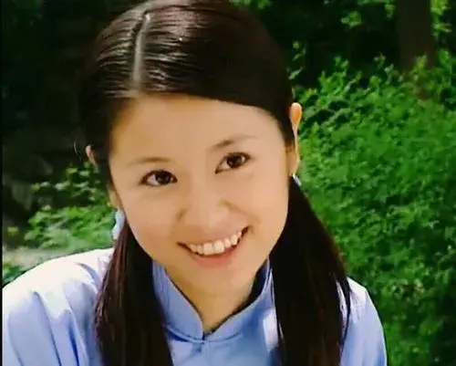 林心如为什么被踢出娱乐圈？为何突然不“红”了？ 第33张