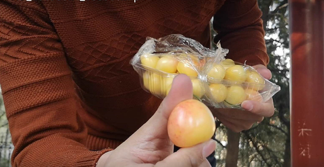 美早樱桃和车厘子区别，樱桃和车厘子区别（车厘子中的“奇兵”———名不副实的佳红大樱桃）