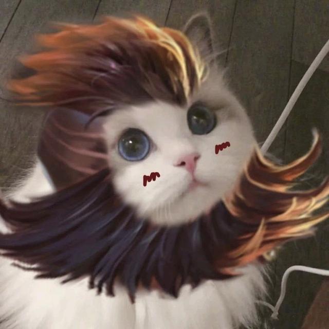 王者开黑头像微信，王者开黑头像，瑶 李白 貂蝉 孙膑 小乔 安琪拉（王者荣耀开黑头像）