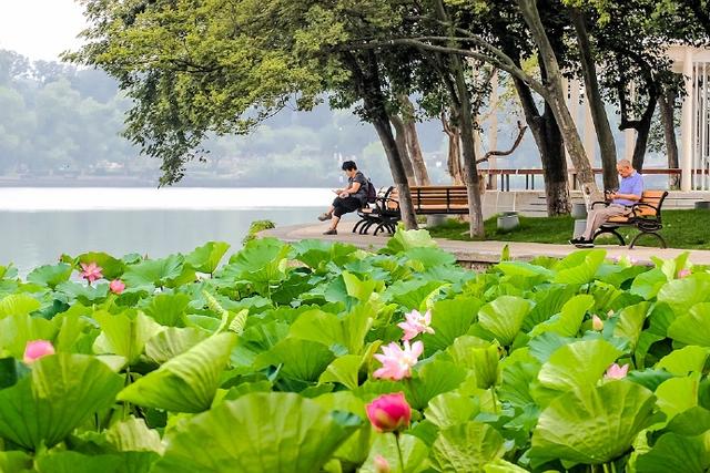 南京玄武湖有几个门，南京玄武湖有什么（如今游人如织的玄武湖）