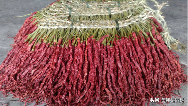 辣椒种植方法和时间，辣椒种植技术与管理方法（这个种植方法不妨打开看看）