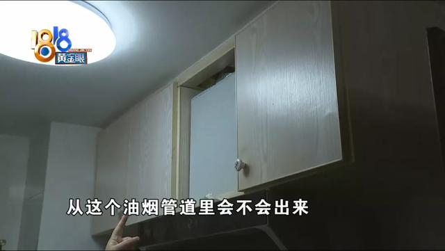 家里很干净为什么有苍蝇，家里经常有苍蝇（“外环境”需要改善）