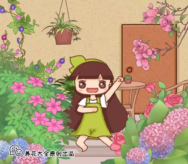 住宅大门朝东，住宅大门朝东风水布局（家里的大门朝哪）