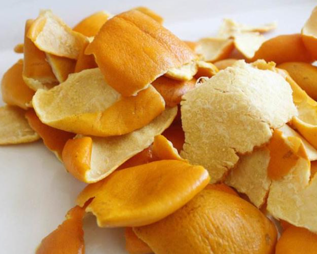 猫跳蚤怎么去除，猫跳蚤怎么去除最有效（猫咪去跳蚤的“偏方”）