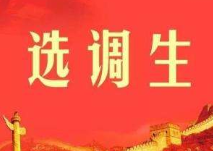 选调生必须是党员吗(家里没关系千万别考公务员)