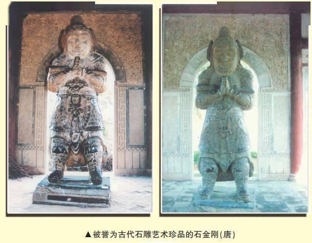 南皮在哪里，南皮在哪里做核酸检测（说说我的家乡—南皮）