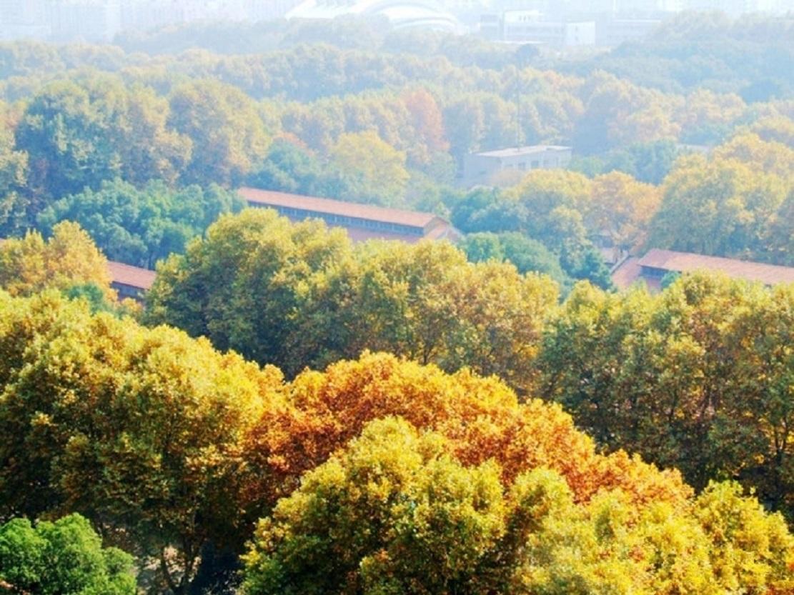 华中科技大学在哪(十所名牌大学最新排名)