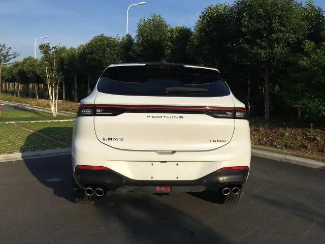两个狮子的图案的车是什么车，迈巴赫车的价格和图片（取消“双飞燕”采用全新logo）