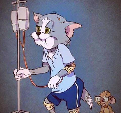 猫一岁相当于人的几岁，猫的一岁相当于人的几岁（附上最新年龄对照表）