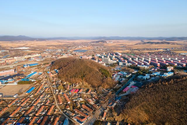 癞蛤蟆怎么吃，癞蛤蟆怎么吃到天鹅肉（有一道是“土豆炖蛤蟆”）