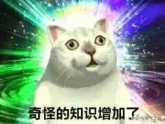 旖旎造句短一点，旖旎造句（姑娘你怎么这么好看？进来挨夸）