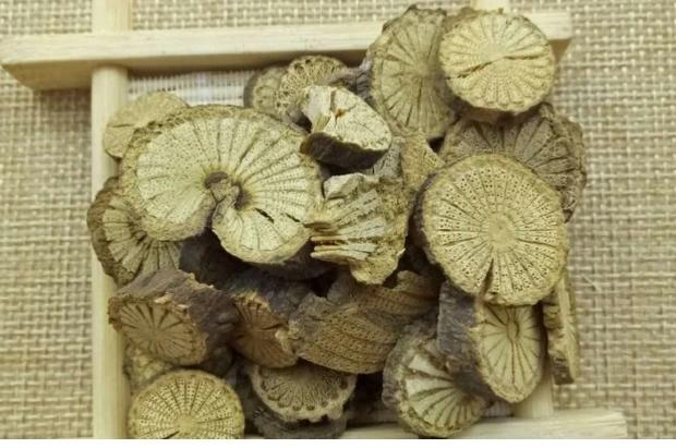 青风藤,中药古今研究:青风藤(青风藤能降尿酸吗)