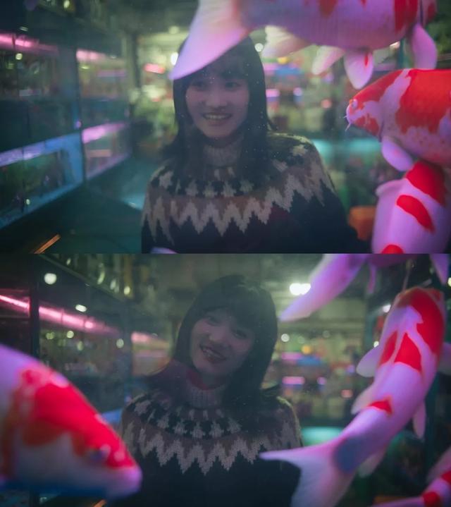 杭州哪个花鸟市场卖猫，杭州最大的花鸟市场在哪里（拍出“港风”，吴山花鸟市场）