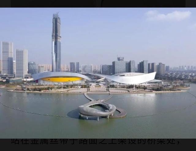 苏州市有哪些发展较好的民办学校，苏州最好的民办学校（年薪二十万就可以上的私立学校。）