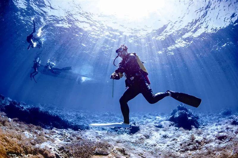 深潜和浮潜有什么区别，深浅和浮潜的区别（浮潜、深潜、自由潜都分不清）