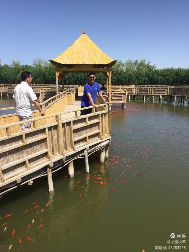 西海在哪里 西海位于哪个地方，西海在哪里（中国最大的内陆淡水吞吐湖）