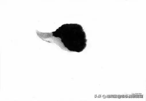 怎么画鸭子,今天星期二考试考个鸭蛋怎么画鸭子(娄师白教你画鸭子) 怎么画鸭子,今天星期二考试考个鸭蛋怎么画鸭子(娄师白教你画鸭子)