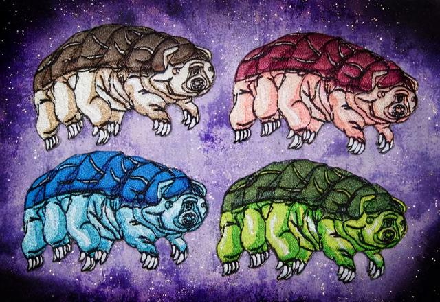 水熊（水熊虫），魔抗点满的水熊虫（水熊水熊虫的图片）