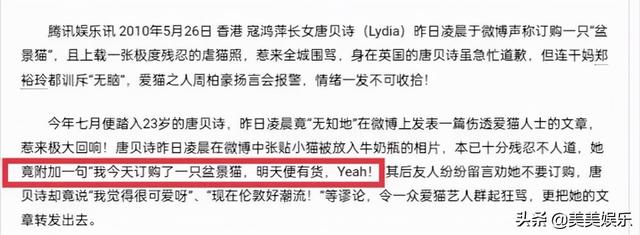 盆景猫（盆景猫百科，港姐又在垃圾堆里捡男人（招财猫盆景怎么养）