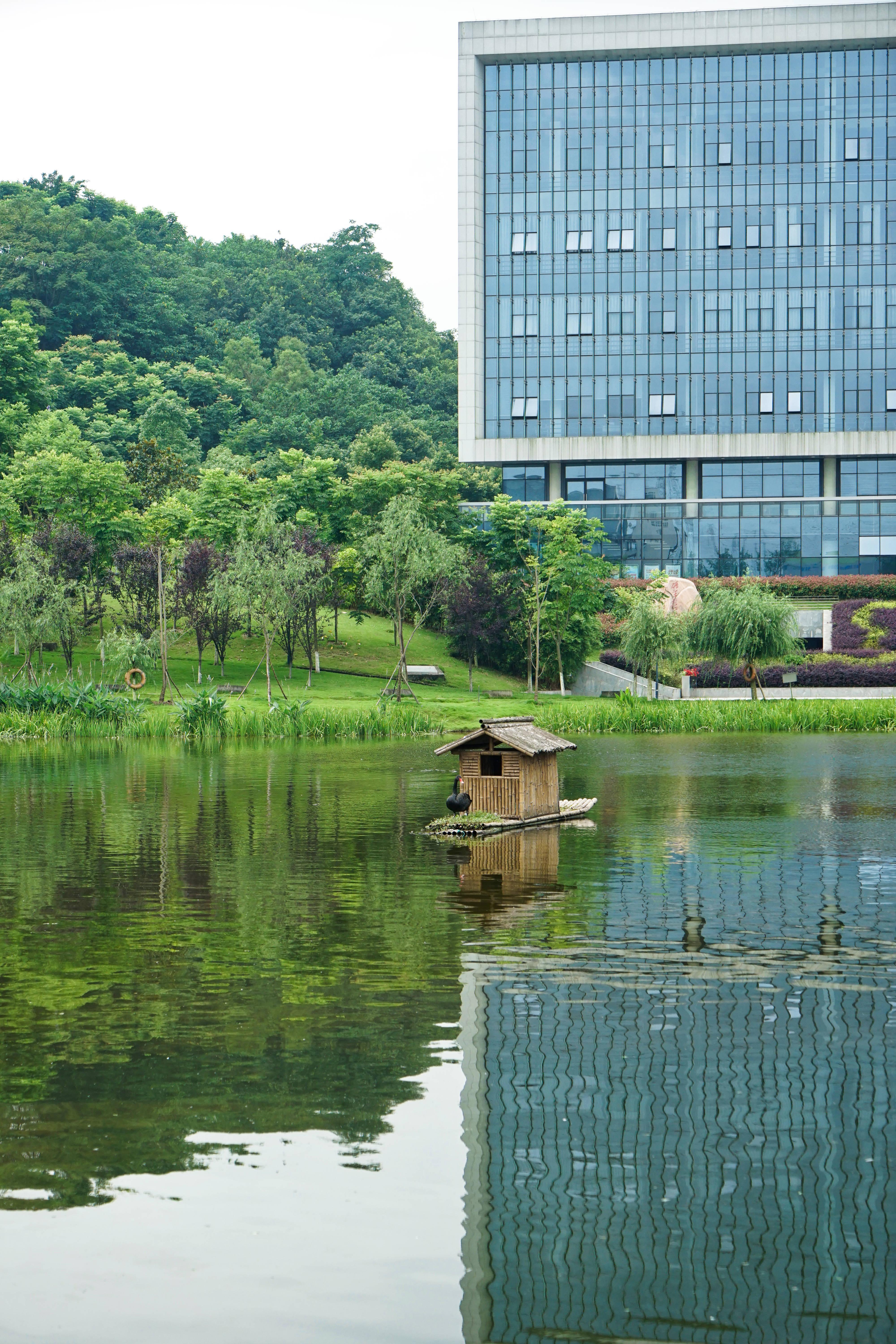 重庆大学城湿地公园图片