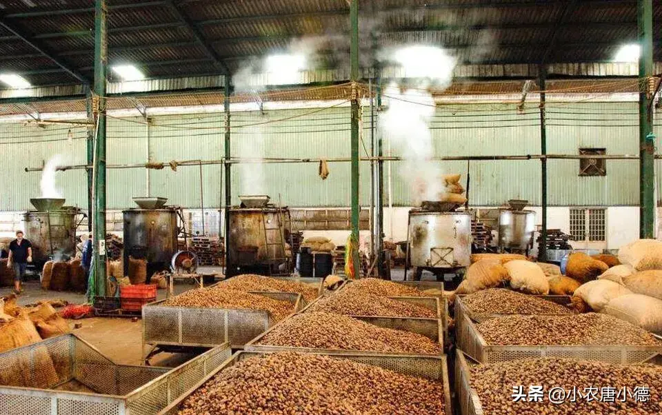 免费加盟的小型加工厂(加盟冰雪蜜城大概多少钱)