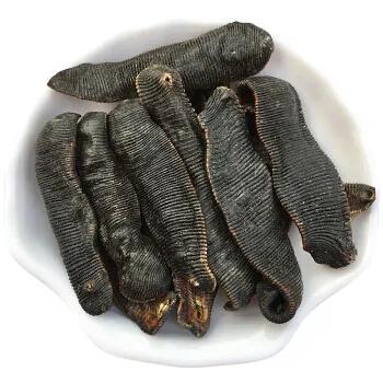 水蛭的功效，水蛭的功效与作用吃法（中药古今研究：水蛭）