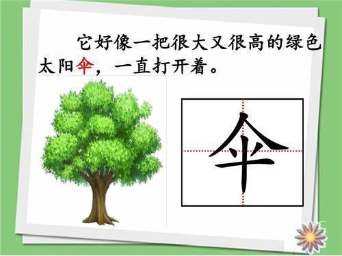 折文旁的字有哪些，折文旁的字（二年级语文第9课《枫树上的喜鹊》字词全解）