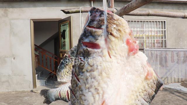 腌制鱼放什么调料，做鱼前腌鱼放什么调料（保存时间越长吃起来越香）