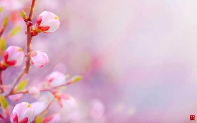 常见的几种摄影构图方式，10大构图法总有一款适合你