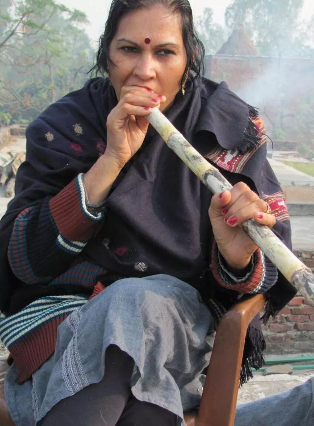 三种人千万别吃甘蔗，哪些人不适合吃甘蔗（歪果人也啃甘蔗）