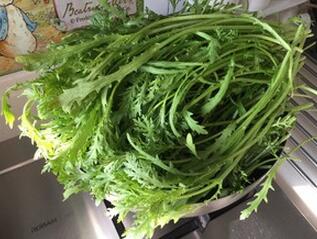 图片[4]-【茼蒿鲜肉水饺】做法步骤图 消食开胃 越吃皮肤越光滑细嫩！-起舞食谱网