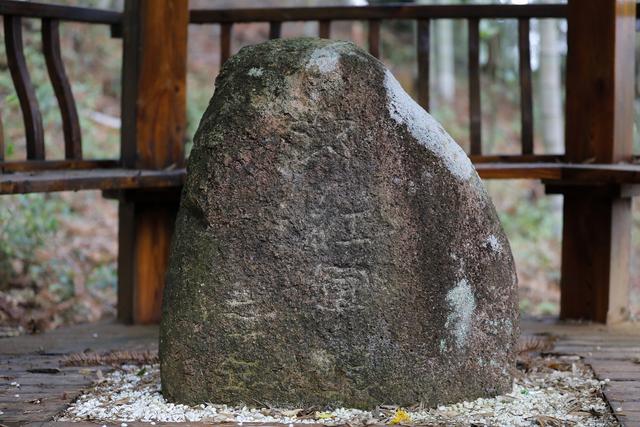 坟茔读音，坟茔读音怎么读（追寻1343座无名红军墓背后的故事）