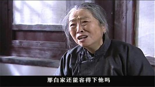 电视剧大宅门里演贵武的演员是谁（《大宅门》里戏份不多的配角们）