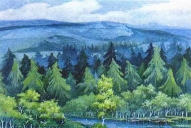 小狗画梅花小猫画什么，小狗画梅花,还有什么画什么（曾经的小学语文插图你还记得几张）