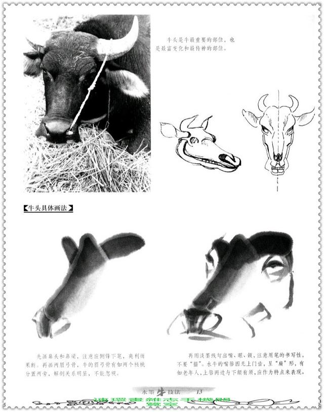 水墨国画牛画法，中国画水墨牛技法