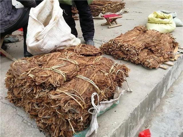 家里有鼻涕虫怎么消灭，鼻涕虫怎么彻底消灭（自制天然杀虫水）